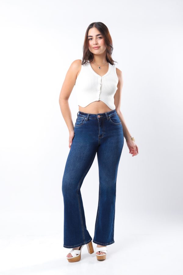 JEANS COLLECTION FLARE DE MEZCLILLA